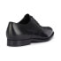 GEOX Hampstead Shoes