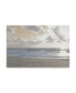 Фото #1 товара Sharon Chandler Serene Sea 3 Canvas Art - 37" x 49"