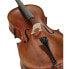 Lothar Semmlinger No. 133A Antiqued Cello 7/8