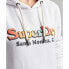 SUPERDRY Vintage Rainbow hoodie