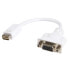 Фото #5 товара StarTech.com Mini DVI to VGA Video Cable Adapter for Macbooks and iMacs - 0.203 m - Mini-DVI - VGA (D-Sub) - Male - Female - White