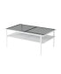 Modern Glass Coffee Table with White Legs