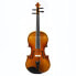 Фото #1 товара Monzani Violinset Capriccio 21 1/2