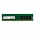 Фото #1 товара Память RAM Adata AD4U320016G22-SGN 16 Гб 3200 MHz CL22 DDR4