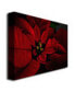 Фото #2 товара Lois Bryan 'Poinsettia' Canvas Art - 32" x 22"