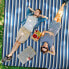 Фото #4 товара Picknickdecke mit Streifen blau