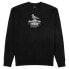 ფოტო #1 პროდუქტის THRASHER Cover the earth Long sleeve T-shirt