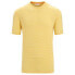 ფოტო #1 პროდუქტის ICEBREAKER Merino Linen Stripe short sleeve T-shirt