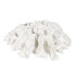 Фото #1 товара Декоративная фигура Белый Коралл 30 x 30 x 11 cm