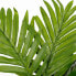 Фото #6 товара Kunstpflanze Areca-Palme