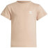 ADIDAS ORIGINALS Adicolor short sleeve T-shirt