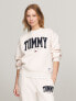 Фото #1 товара Varsity Logo Sweatshirt