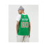 Mitchell & Ness Nba Boston Celtics Swingman Jersey Celtics 07 Ray Allen