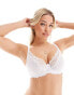 Фото #2 товара Ivory Rose fuller bust lace underwired plunge bra in white