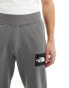 The North Face NSE Alpine joggers in grey