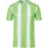 Фото #1 товара UHLSPORT Stripe 2.0 short sleeve T-shirt