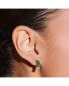 Women's Gradient Crystal Stud Earrings