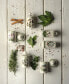 Фото #2 товара Botanic Garden 6-Pc. Spice Jar Set