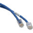 Фото #1 товара Жесткий сетевой кабель UTP кат. 6 Panduit NK6PC1MBUY Синий 1 m
