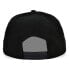 ფოტო #3 პროდუქტის Denver Broncos Basic Fashion 9FIFTY Snapback Cap