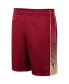 ფოტო #2 პროდუქტის Men's Garnet Florida State Seminoles Lazarus Shorts