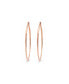 ფოტო #1 პროდუქტის 18K Rose Gold Plated Stainless Steel Hoop Earrings