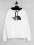 Фото #1 товара The North Face Drew Peak hoodie in white