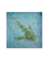 Фото #1 товара Cora Niele 'Classic Herbs Rosemary' Canvas Art - 14" x 14" x 2"