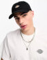 Dickies hardwick cap in black