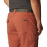 Фото #5 товара COLUMBIA Silver Ridge™ Extended Shorts