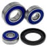 All BALLS 25-1608 Wheel Bearing Kit - фото #2