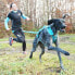 Фото #8 товара I-DOG Canicross Opale Small Dog Leash