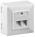 Wentronic CAT 6 Universal Wall Plate Incl. On-Wall Mounting Frame - White - RJ-45 - 0 - 70 °C - White - 125 V - 1.5 A - 1 pc(s)