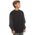 QUIKSILVER Radical Times sweatshirt