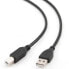 Фото #4 товара GEMBIRD CCP-USB2-AMBM-1M 1 m USB-A To USB-B Cable