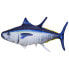 GABY The Atlantic Bluefin Tuna Medium