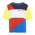 Фото #1 товара Футболка с коротким рукавом женская Tommy Hilfiger Colour-Blocked Синий