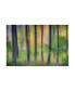 Фото #1 товара Burger Jochen Dreamy Tree Foliage Canvas Art - 20" x 25"