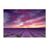 Michael Blanchette Photography 'Pink and Purple' Canvas Art, 22" x 32"