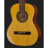 Gewa Student Solid Top Spruce 1/2