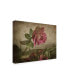 Igor Tokarev Tear of Rose Canvas Art - 20" x 25"