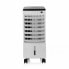 Portable Evaporative Air Cooler Tristar AT-5446 White 65 W