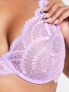 We Are We Wear Curve nylon blend high apex non padded plunge bra in violet purple