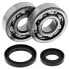 Фото #1 товара All BALLS 24-1014 Crank Shaft Bearing Kit