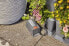 Фото #5 товара Горшок для комнатных растений GARDENA NatureUp! со встроенным резервуаром (13158-20)