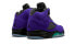 Кроссовки Nike Air Jordan 5 Retro Alternate Grape (Синий, Фиолетовый)