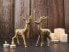 Фото #3 товара Декоративный набор фигурок Casamia Деко Hirsch 2er Tierfigur Weihnachtsdeko