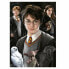 Фото #6 товара Головоломка Harry Potter 1000 Предметы
