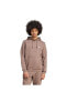 Essentıal Hoody Erkek Sweatshirt Ir7786