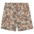 Фото #4 товара DICKIES Saltville shorts